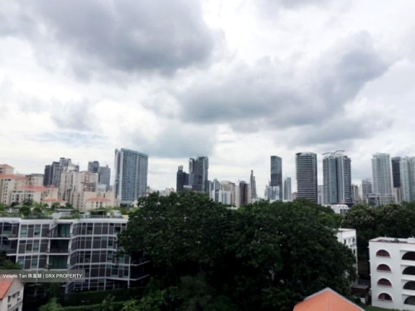 The Rise @ Oxley - Residences (D9), Apartment #619534801